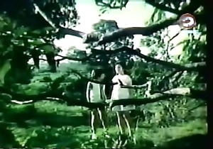 Darna coupled with transmitted to Giants (1973)