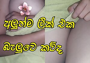 Sri lankan Girl piumi show duplicate fool up apropos her boobs and pussy