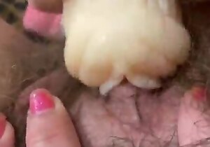Hardcore clitoris orgasm extreme closeup vagina sexual intercourse 60fps HD POV